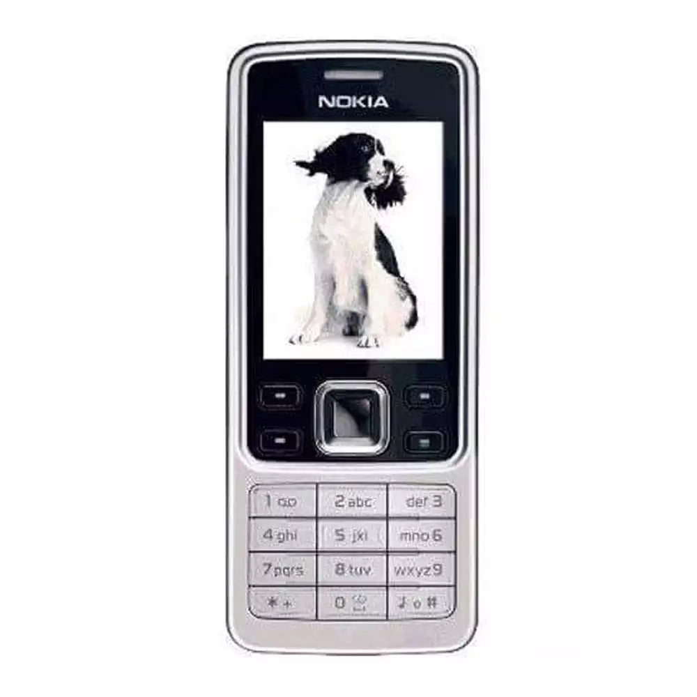 (Open Box Condition) Nokia 6300 Stainless Steel Stylish Bar Phone (90 Days Warranty)