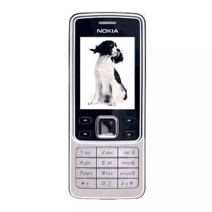 (Open Box Condition) Nokia 6300 Stainless Steel Stylish Bar Phone (90 Days Warranty)