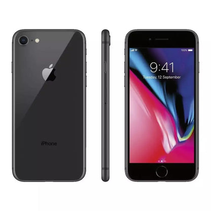 (Pre-Owned, Very Good) Apple iPhone 8 (256GB) (Gray) (90 Days Warranty) + Original Retail Box