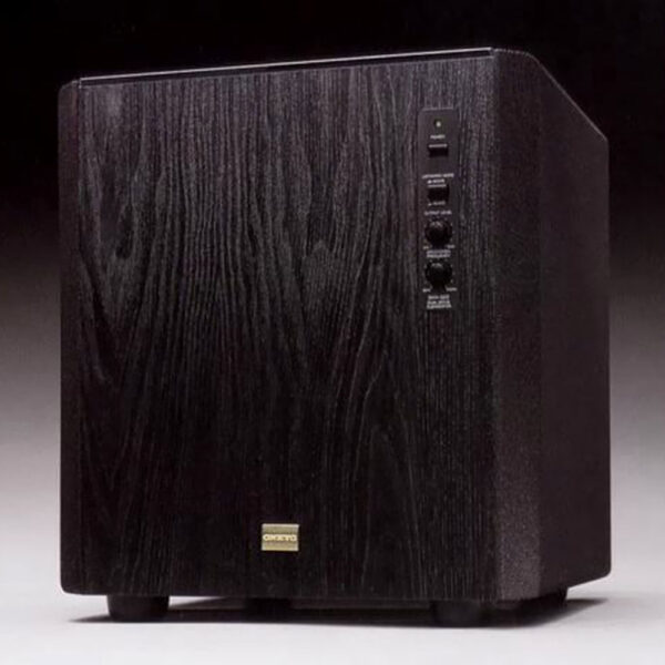 Onkyo SKW-320 Active Subwoofer 300 Watts Dual 8 Inch Drivers